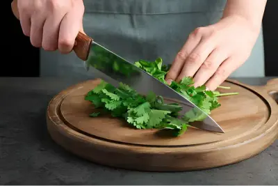 Kitchen Knife Parts Explained: A Complete Diagram Guide