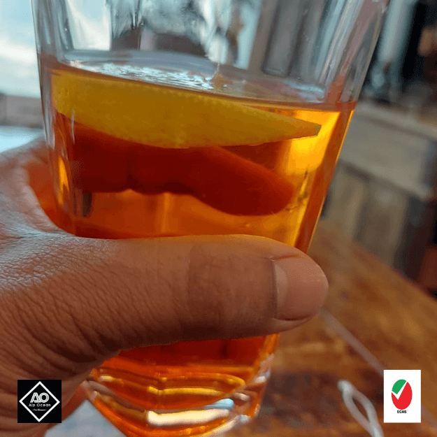 Alp Ocean- Drinking Glass Highball, 300ml, Set of 6