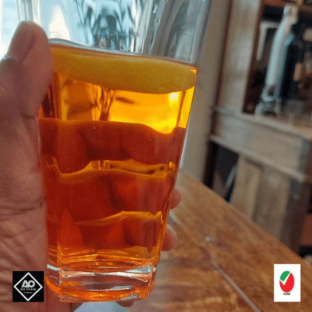 Alp Ocean- Drinking Glass Highball, 300ml, Set of 6