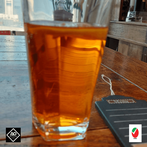 Alp Ocean- Drinking Glass Highball, 300ml, Set of 6