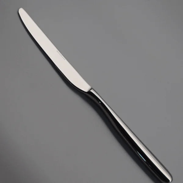 Casa Bugatti CAPRICCIO 24 Piece – 18/10 Stainless Steel- Flatware/Cutlery