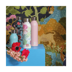 Casa Bugatti Lotus Diamond Coating Water Bottles Twin 500 ML