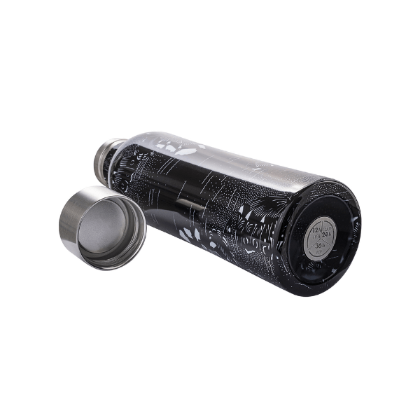 Buy Casa Bugatti Butterfly Water Bottles Twin 500 ML