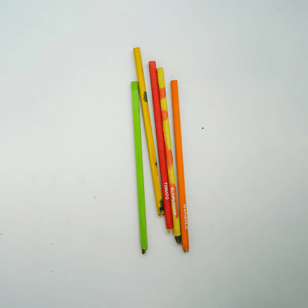 Plantable Pencil (Assorted) (3) Plantable Pencil (Assorted) - Best Home Decor in Dubai, UAE